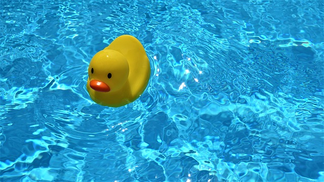 kachnička v bazénu